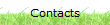 Contacts