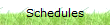 Schedules